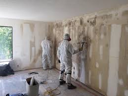 Best Forensic Mold Investigation  in USA